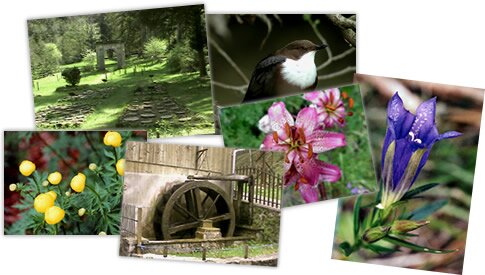 Promenade, Jardin botanique